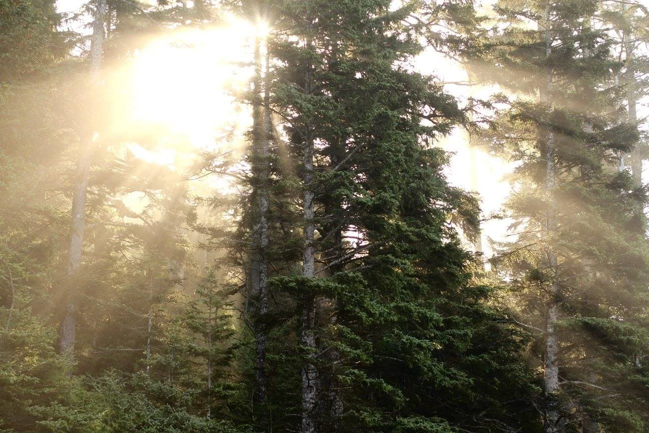 Nootka Trail, Vancouver Island