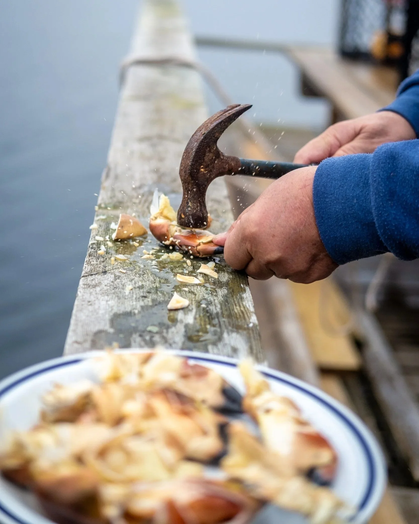 Person uses a hammer to crack open a clam on a wooden dock near the water, with a bowl of cracked clam shells in the foreground.