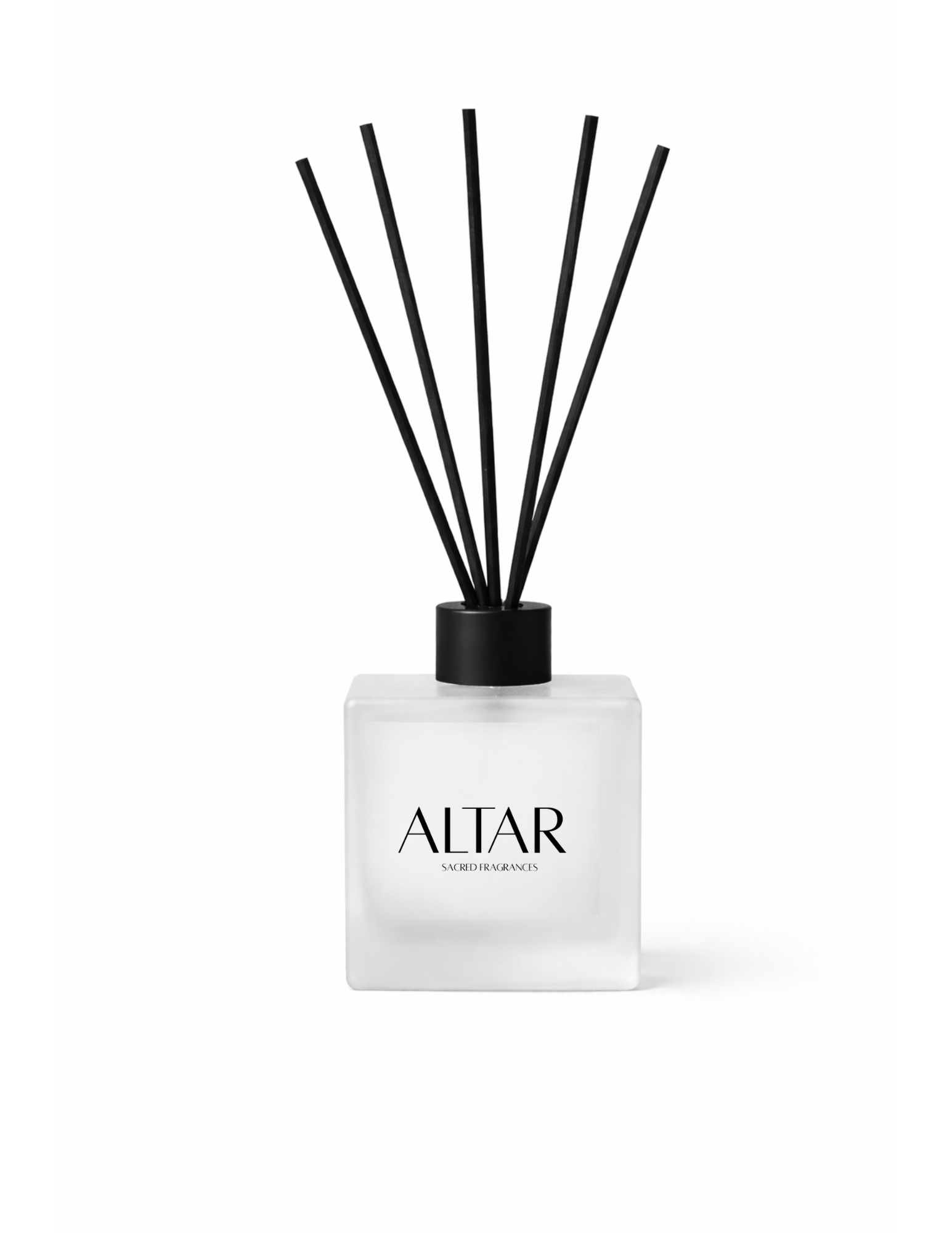 White with Photo Product Flyer - 4.png