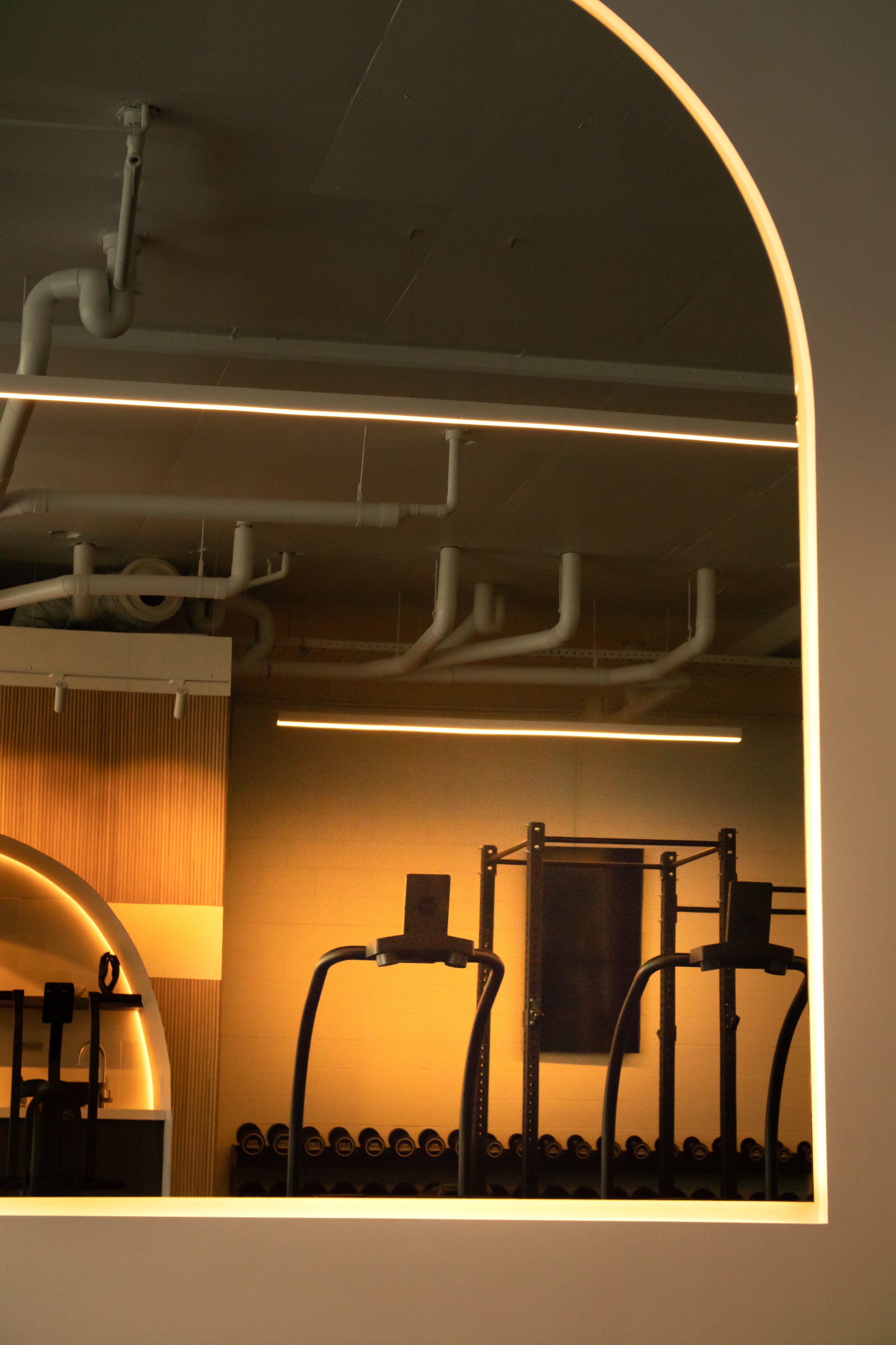 Fitness gym with workout equipment, including pull-up bars and dumbbell racks, seen through a large mirror with warm lighting.
