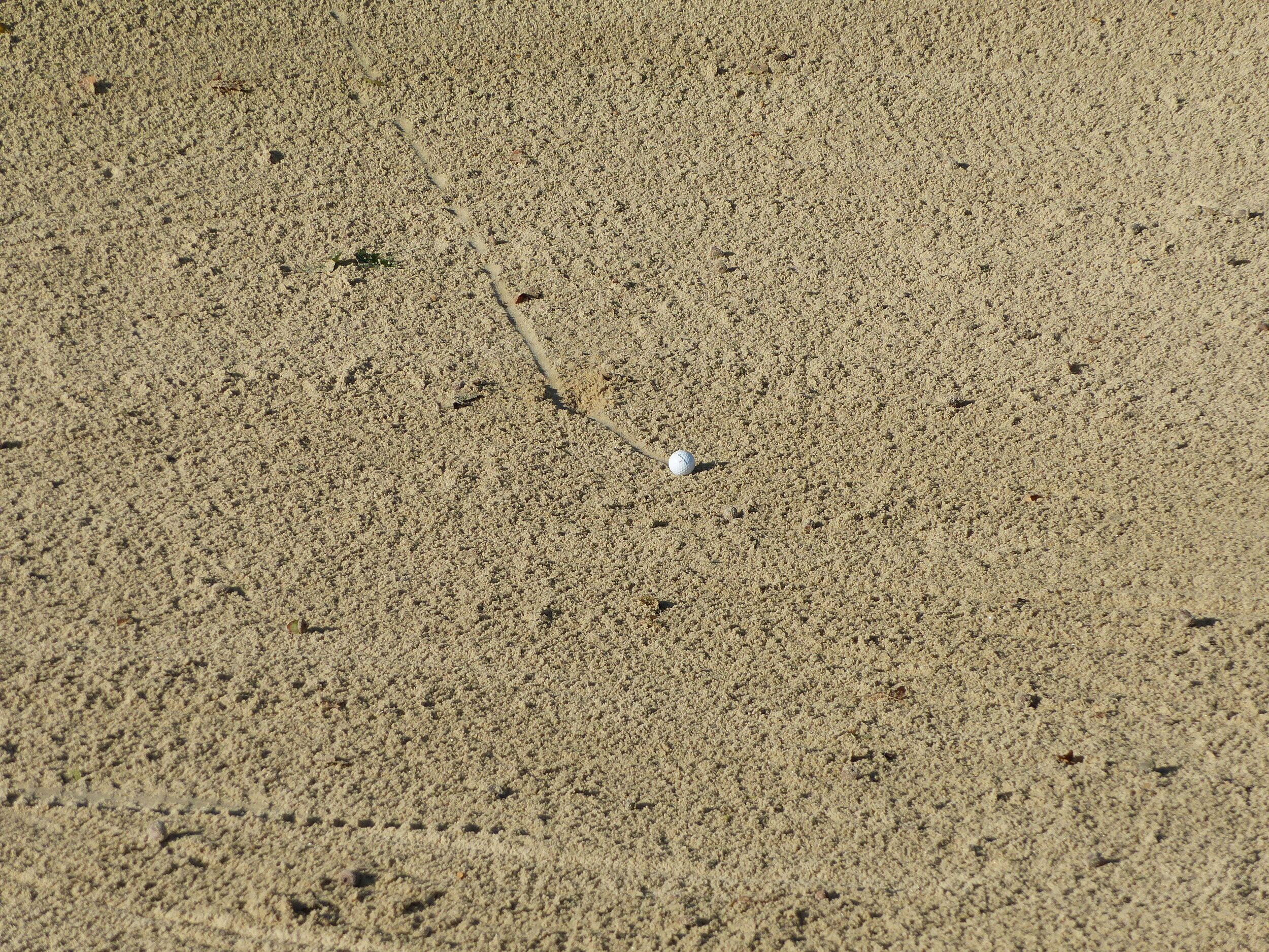 P1010277.JPG