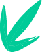 A stylized green leaf icon on a white background.