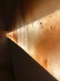 Salt Studio