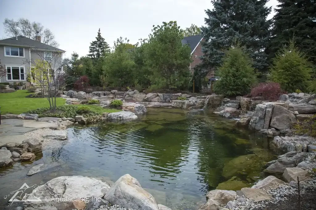 A landscaped backyard with a pond surrounded by rocks, trees, and suburban houses in the background.