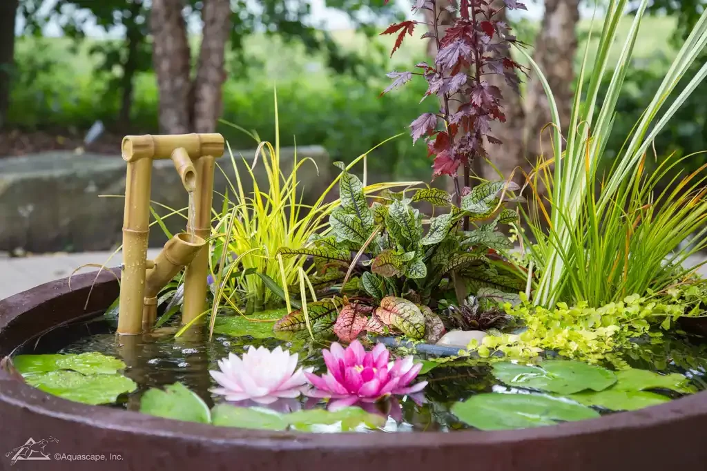 A decorative water garden with floating water lilies, a bamboo water feature, and various lush green plants in a large round container outdoors.