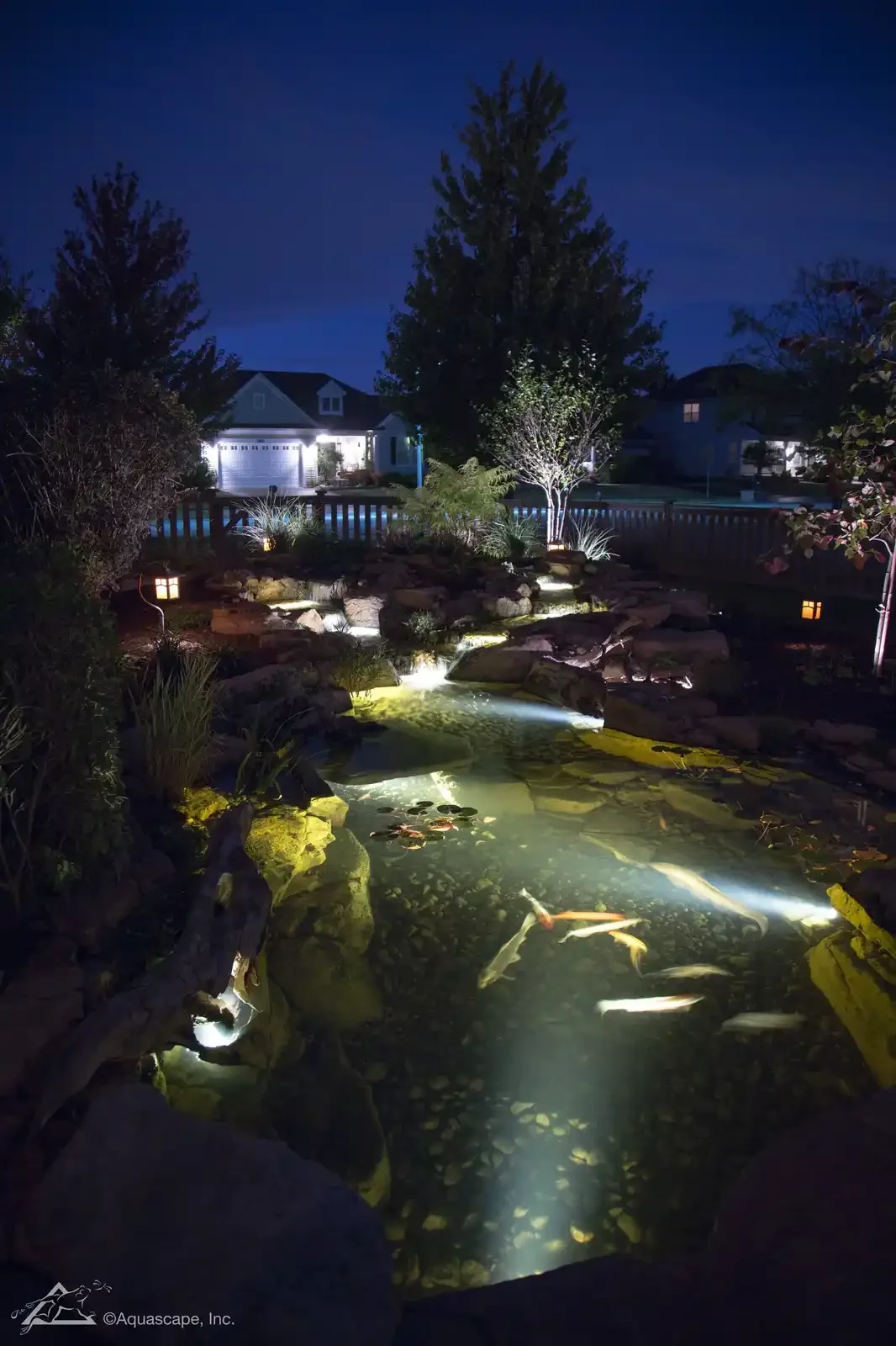 Night view of a landscaped backyard with a small waterfall, koi pond, illuminated plants, trees, patio, and houses in the background.