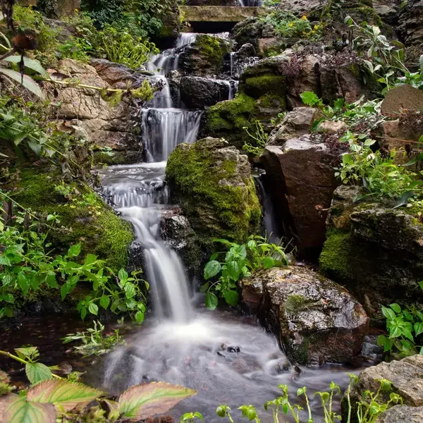 Small waterfall flowing over rocks surrounded by green foliage in a forest.