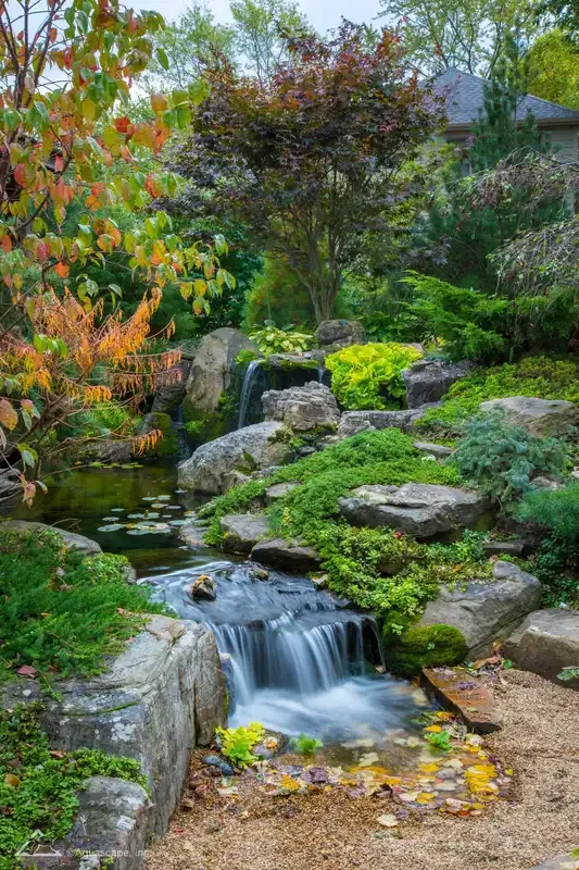 A peaceful backyard garden features a small waterfall cascading over rocks into a pond surrounded by lush green plants and trees.
