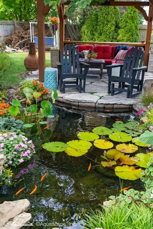 A backyard pond with orange fish, surrounded by colorful flowers and lily pads, with a stone patio and outdoor seating area with red cushions under a wooden pergola.