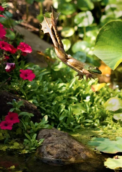 A dragonfly with green wings and a slender body flying above colorful flowers and water in a garden pond.