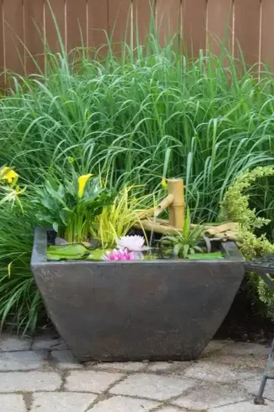 A large rectangular outdoor water garden with green plants, yellow flowers, pink water lilies, and a small bamboo water spout, set against a wooden fence.