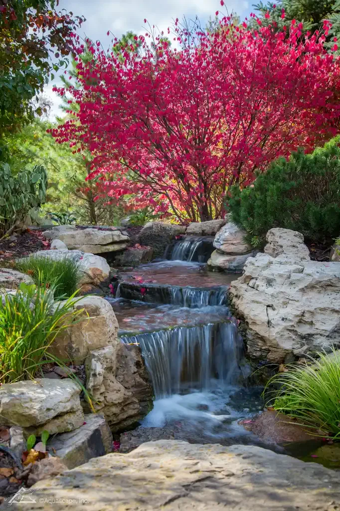 A small multi-tiered waterfall flowing over rocks surrounded by green plants and a bright pink flowering tree in the background.