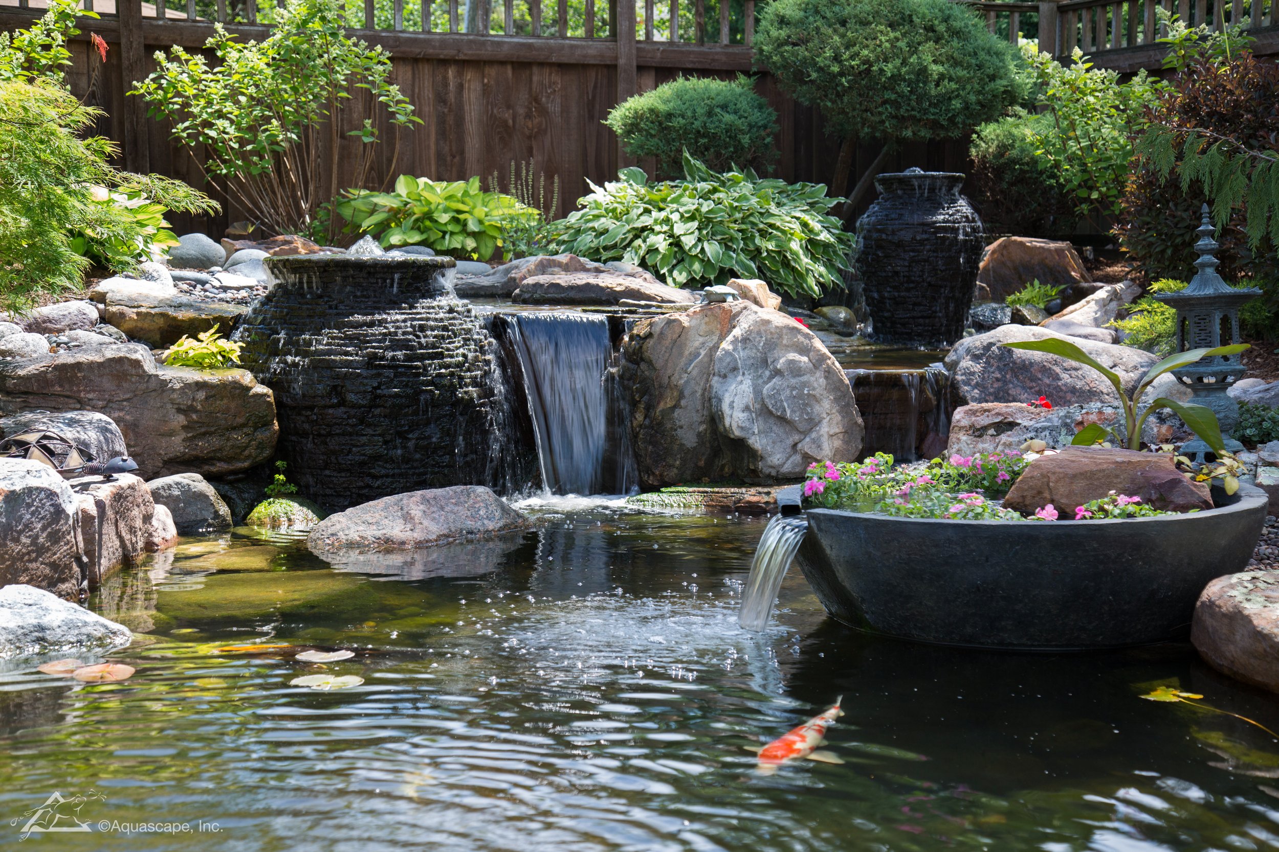 Aquascape ecosystem pond featuring koi fish, waterfalls, decorative urn fountains, and aquatic plants in a professionally landscaped backyard.