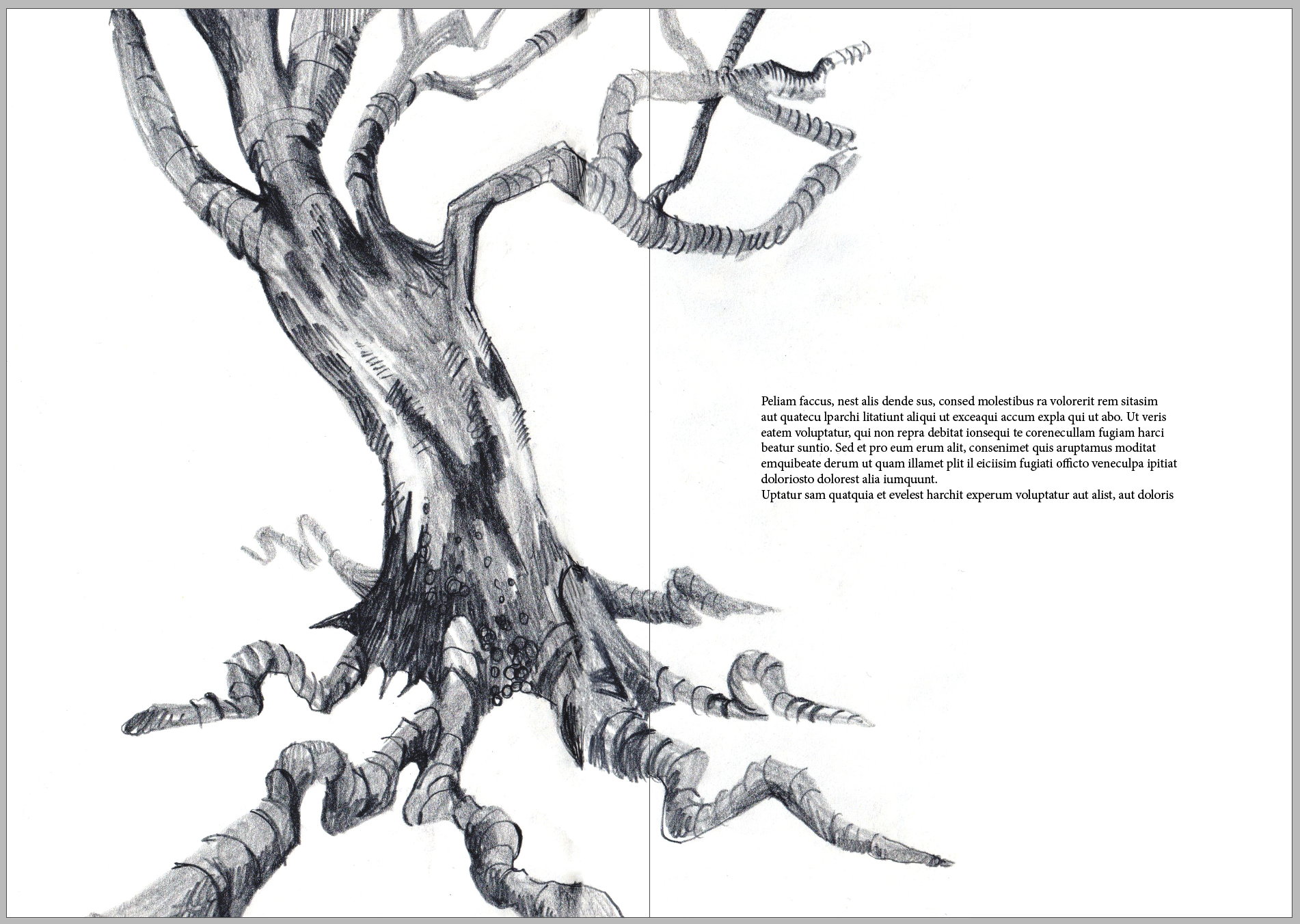 Screenshot 2024-11-27 at 09.45.55.png