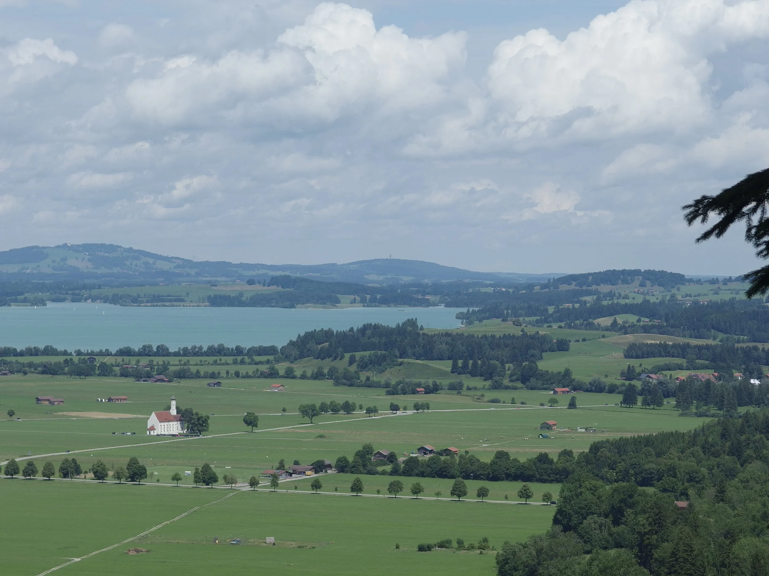 IMGP0555.jpg