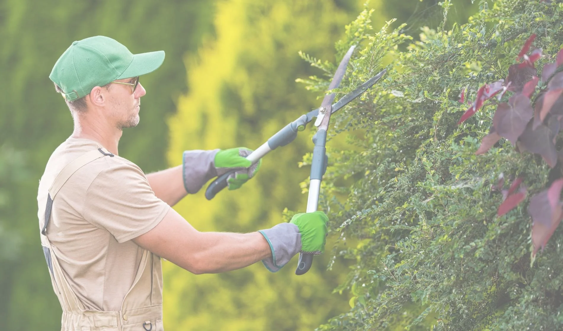 Gardener providing local services