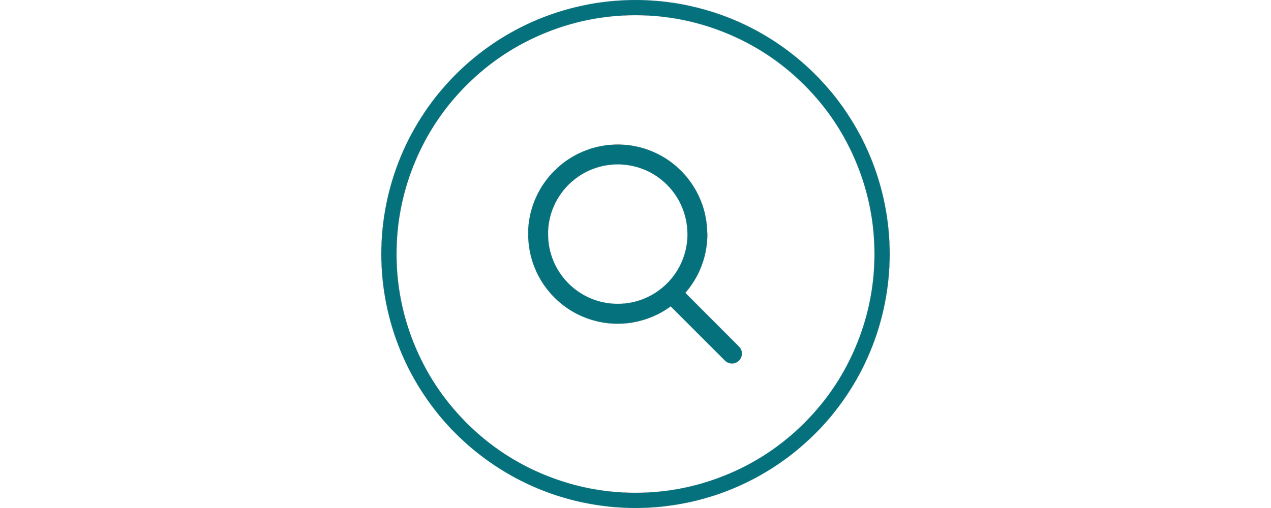 Icon of a magnifying glass enclosed in a circle, representing search or zoom functions.