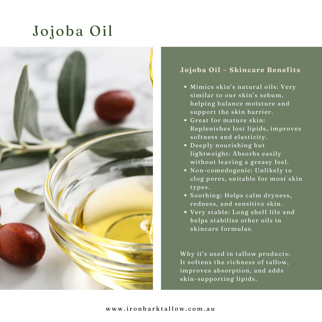 White and Green Professional Plants Shop Product Information Instagram Post.png