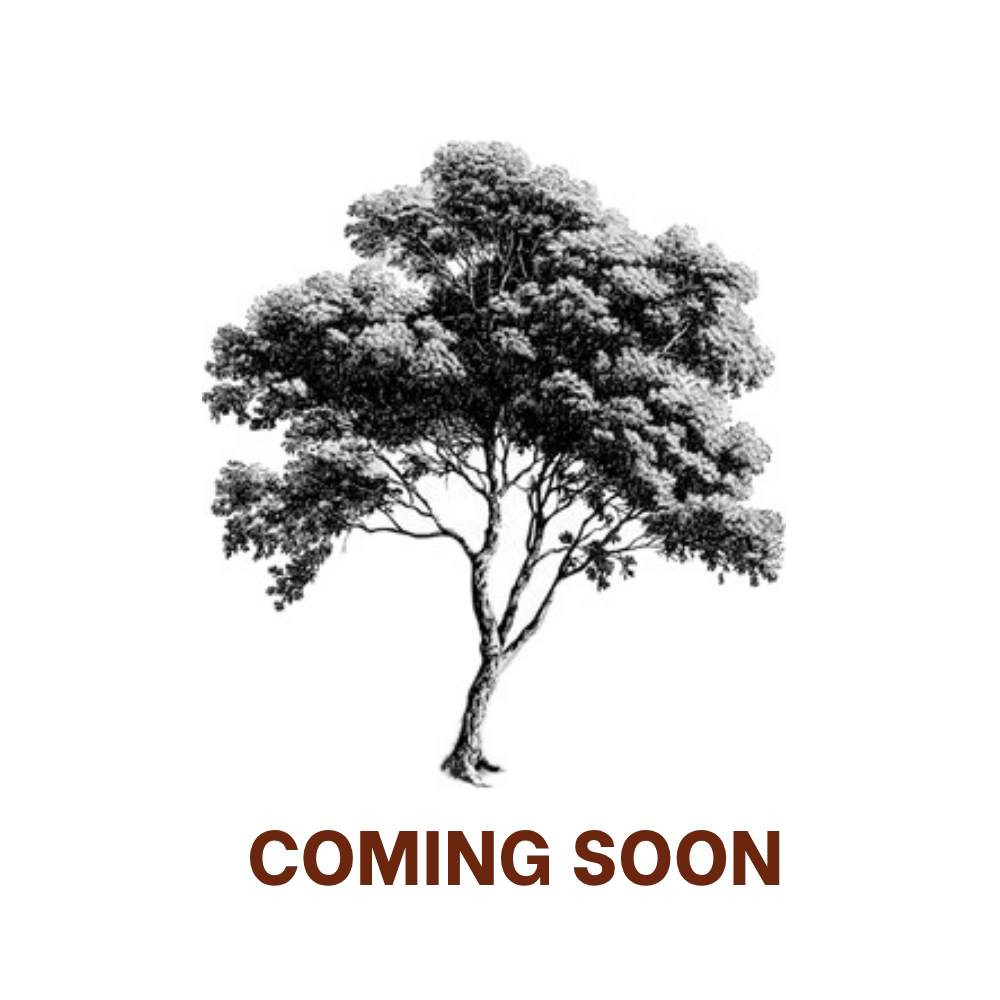 Coming Soon!  Resilient Hands - 60ml