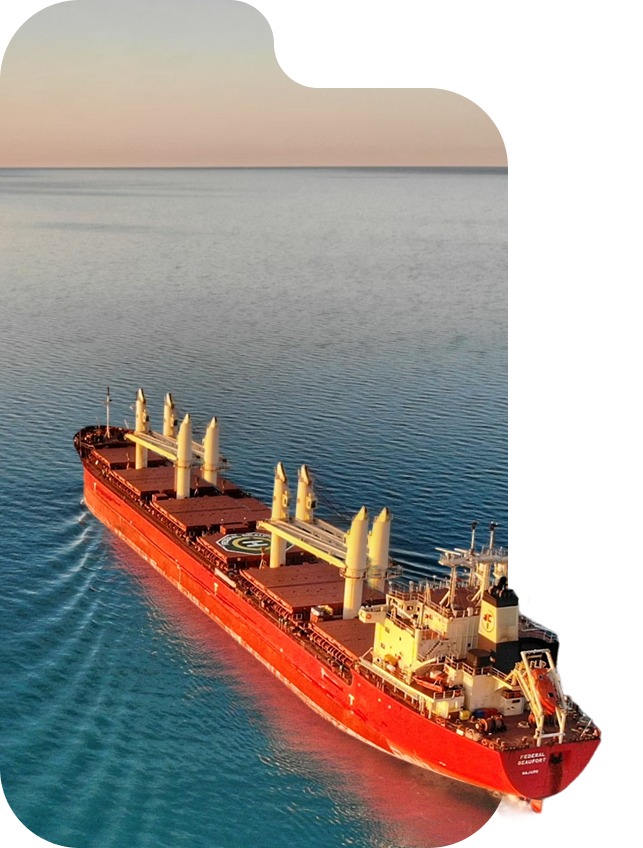 A red cargo ship sailing on calm ocean waters during sunset. Possibly using ammonia as a dual fuel marine shipping option.