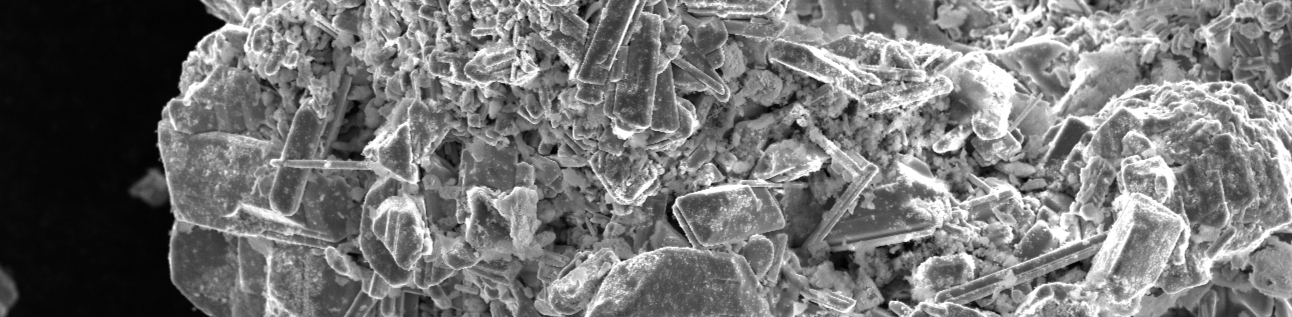 Scanning electron microscope image of a mineral or crystalline material, a catalyst, showing detailed granules and flaky structures.