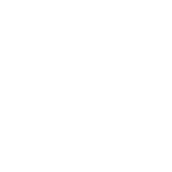 White Facet Amtech Logo
