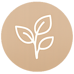 Minimalist white outline of a plant with three leaves on a beige circular background.