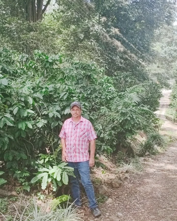 ANTES DE HABLAR DE CAFÉ — VOL 07