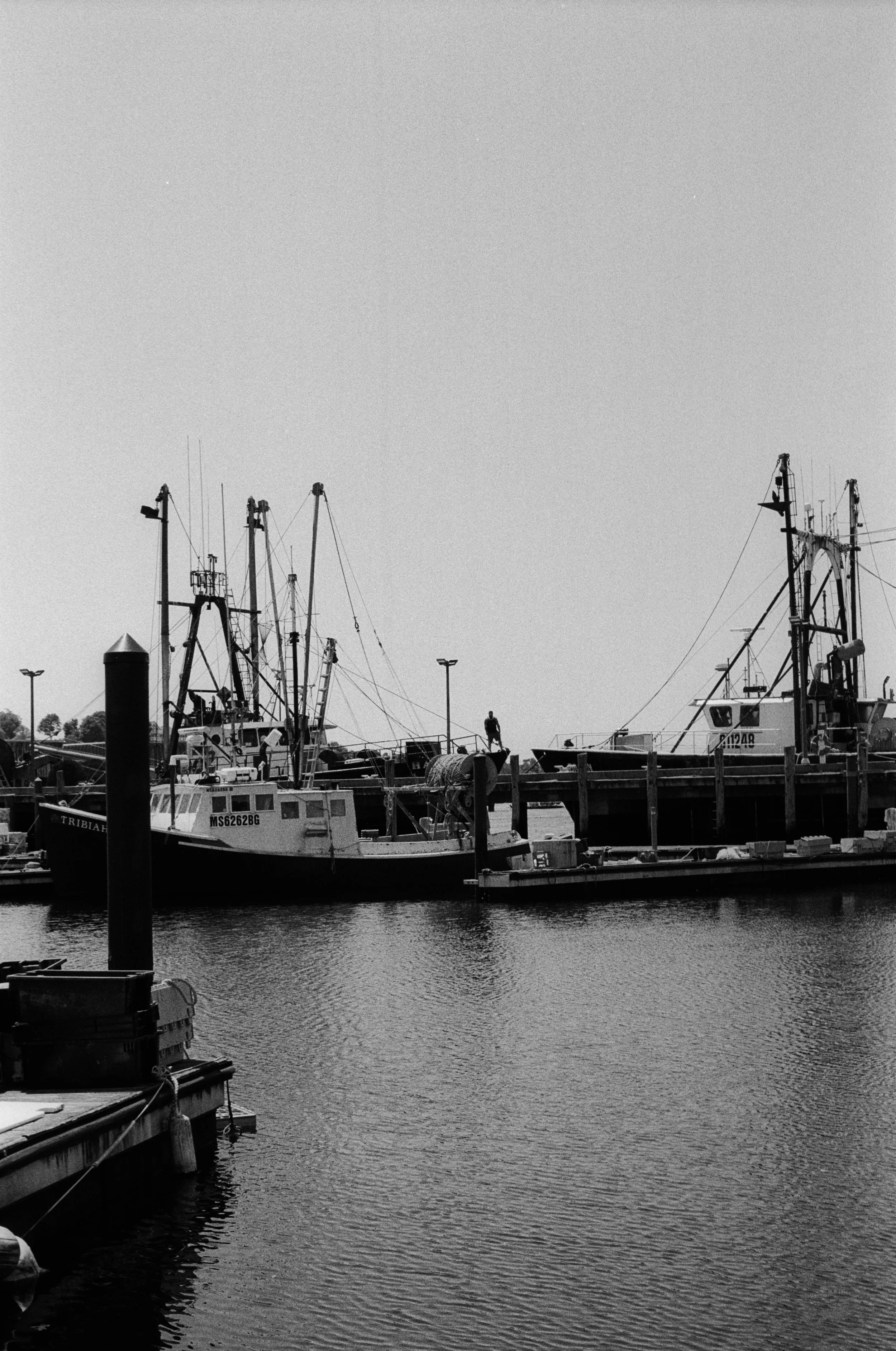 0007_###.JPEG