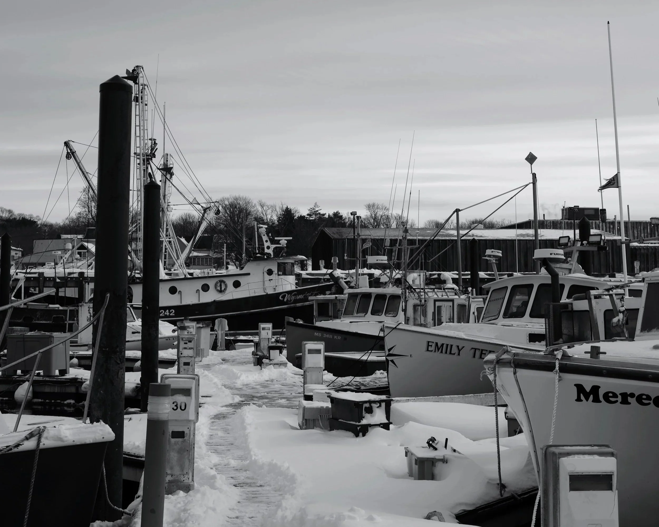 Awesome Gloucester Grant