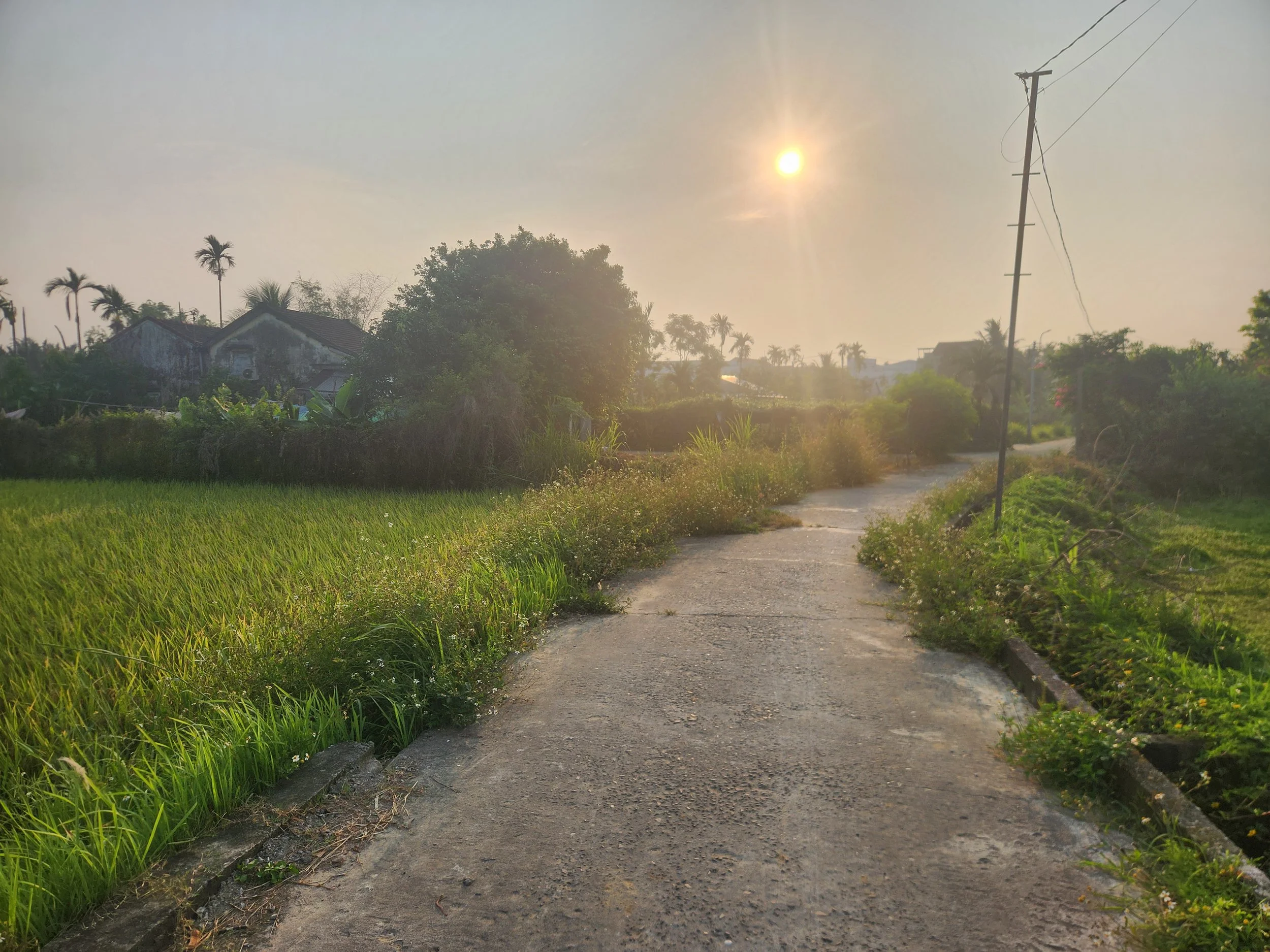 Local fields early morning on the way to the gym