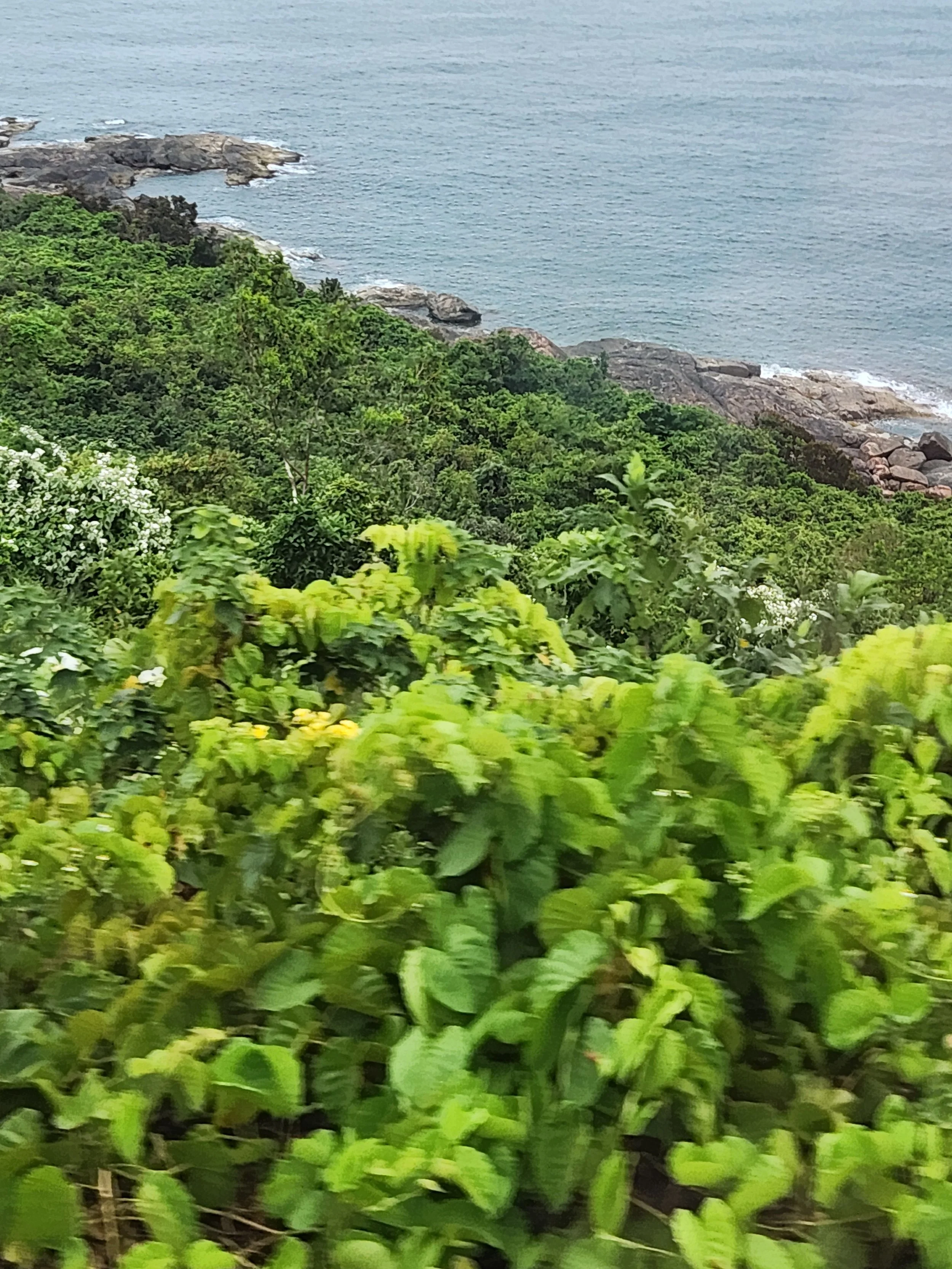 20260425_153149.jpg