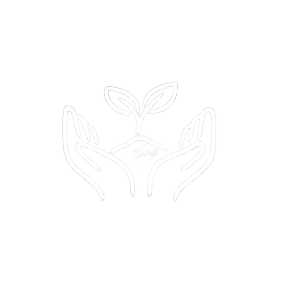 Outline of two hands holding a small plant with two leaves