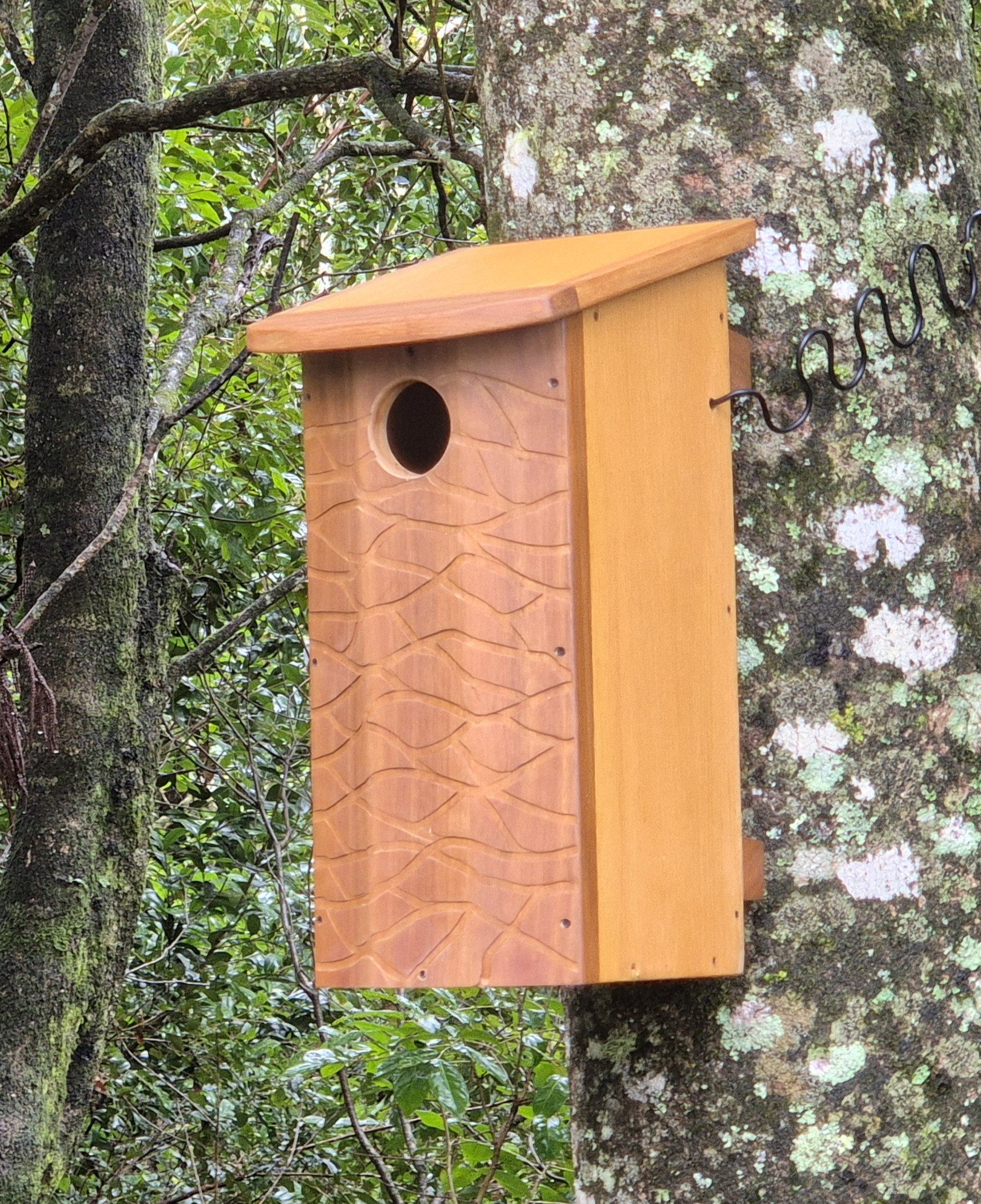 20260309_125654 product page 1.jpg