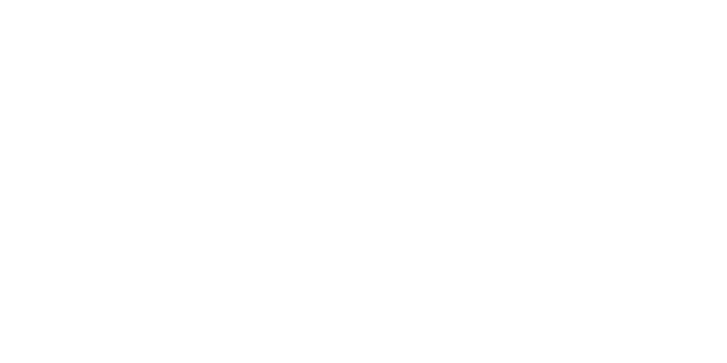 The text 'Niftie Genies LLC' in a whimsical stylized font with curls, set against a black background.