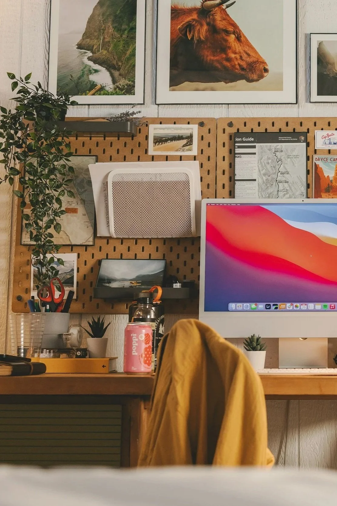 A workspace with a wooden desk and a computer monitor displaying a colorful abstract background. The desk has various items including a water bottle, a pink beverage can, a small potted plant, and other office supplies. Behind the desk is a pegboard with framed photos, maps, and documents, and there are two large photos on the wall above the pegboard, one of a coastline and another of a bull with horns.