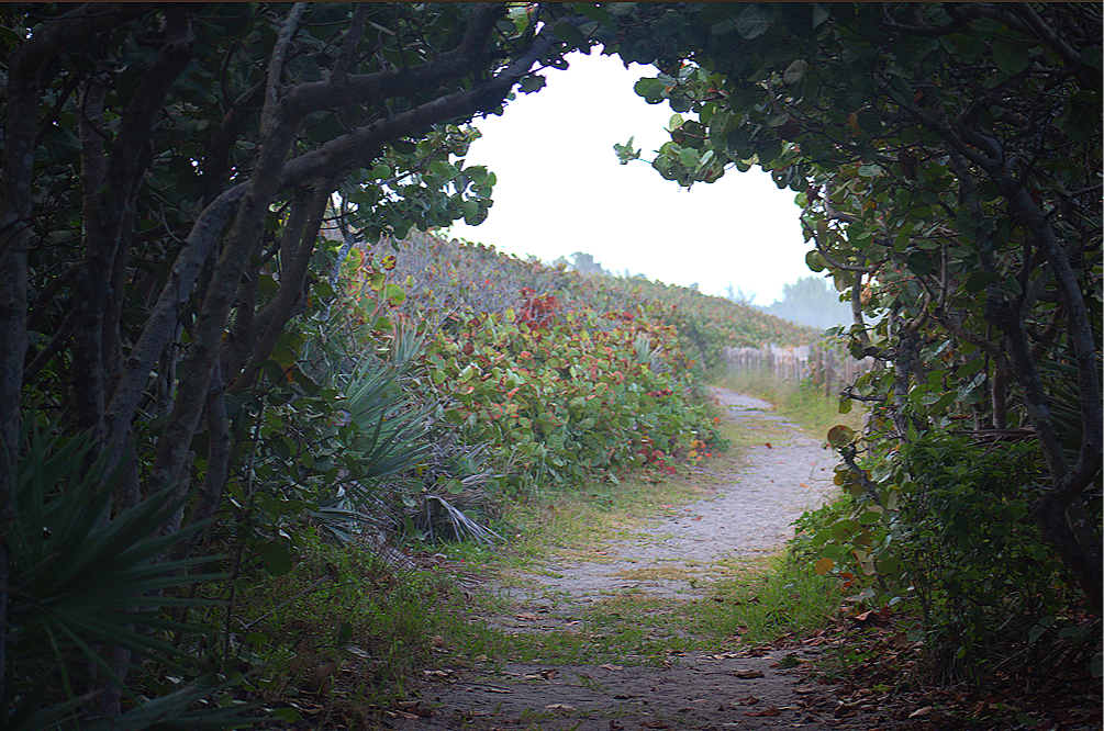 Screenshot+2026-03-15+093243.png