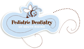 Logo for Pediatric Dentistry of South Riding featuring a cartoon bee with wings under a cloud-shaped background