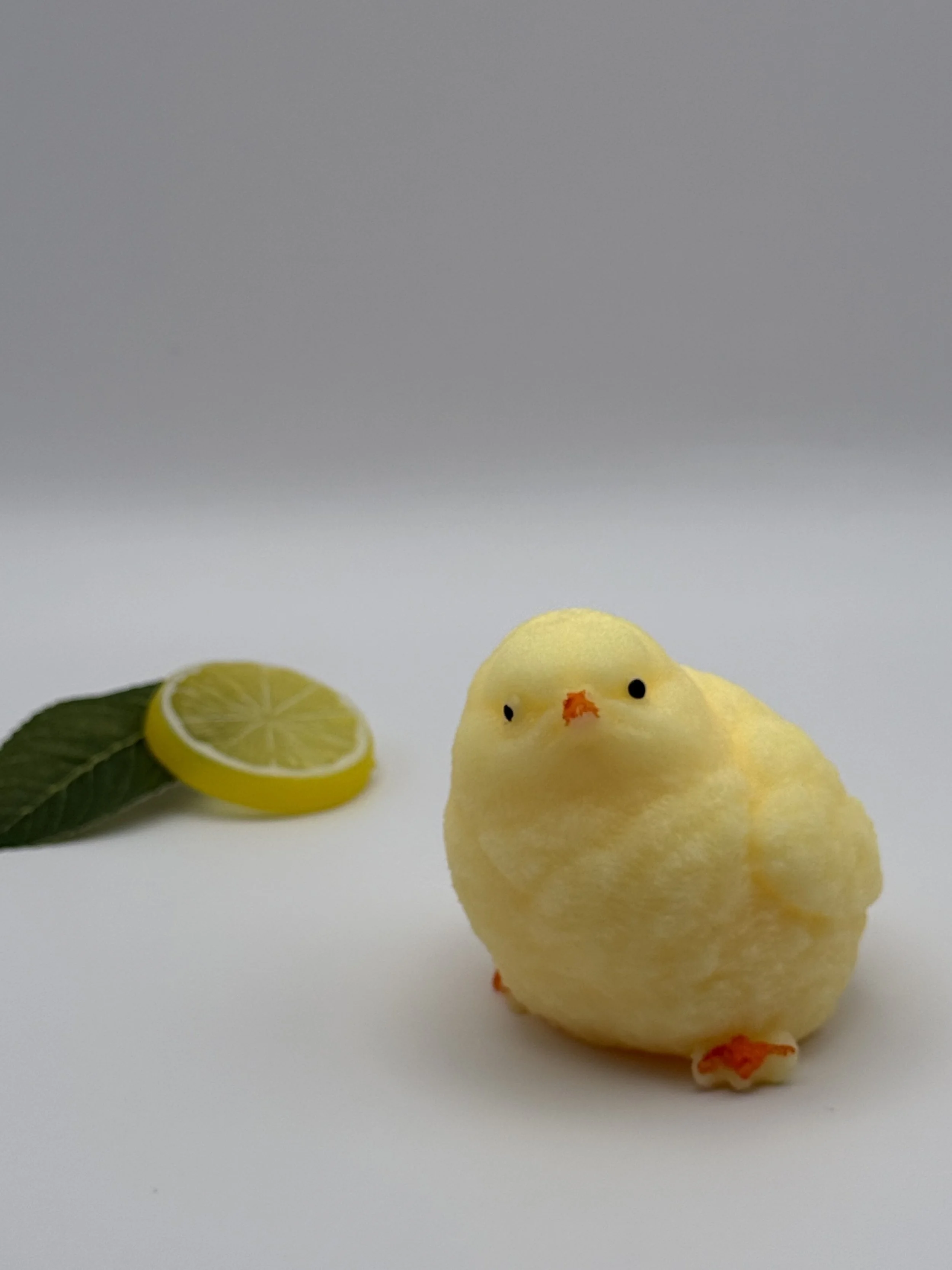Baby Chick Buddy