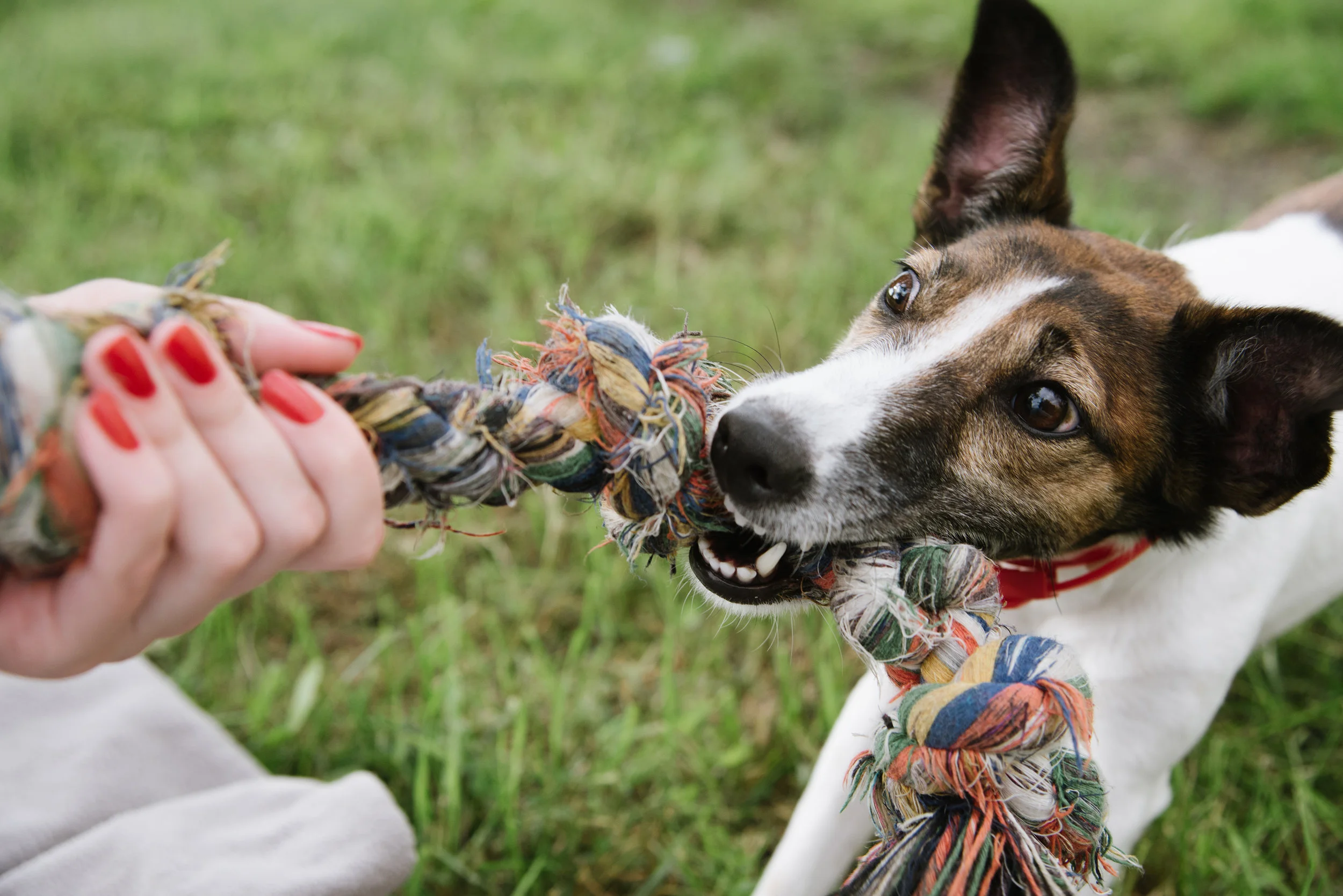 Tug O’ War