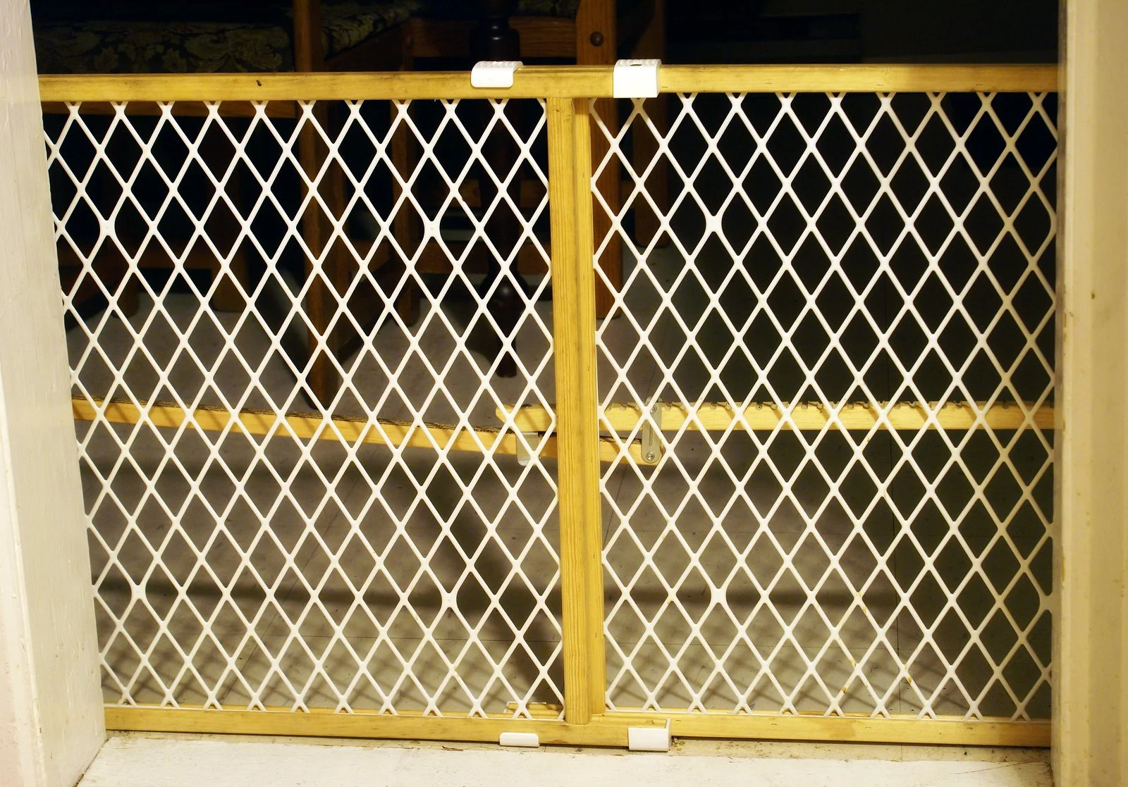 Beyond "Sit" and "Stay": The Ultimate Guide to Dog Management