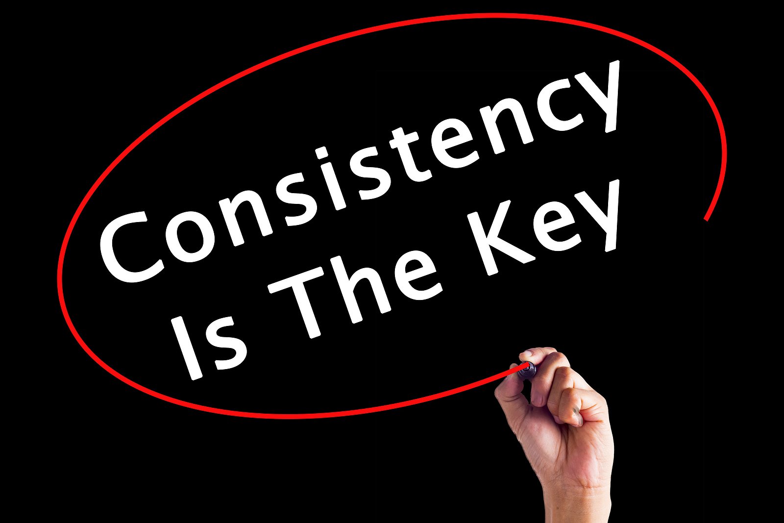 Dog Training Consistency: The Key to Success &amp; A Happy Dog