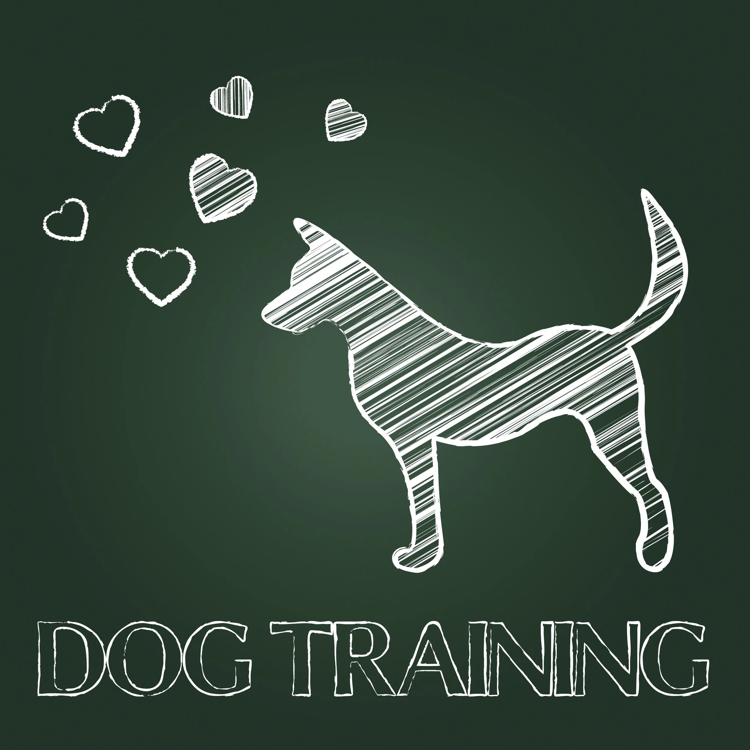 Real Life Dog Training for Busy People