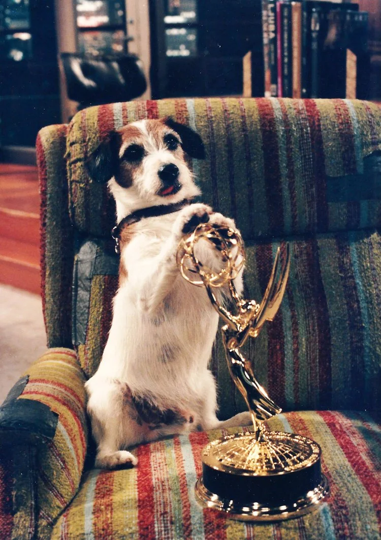 The Secret Life of Movie Dogs: An Interview with Trainer Mathilde De Cagny - Pt 1