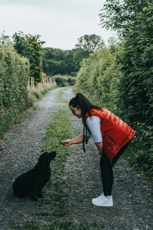 Finding the Right Dog Trainer: A Guide for Dog Owners