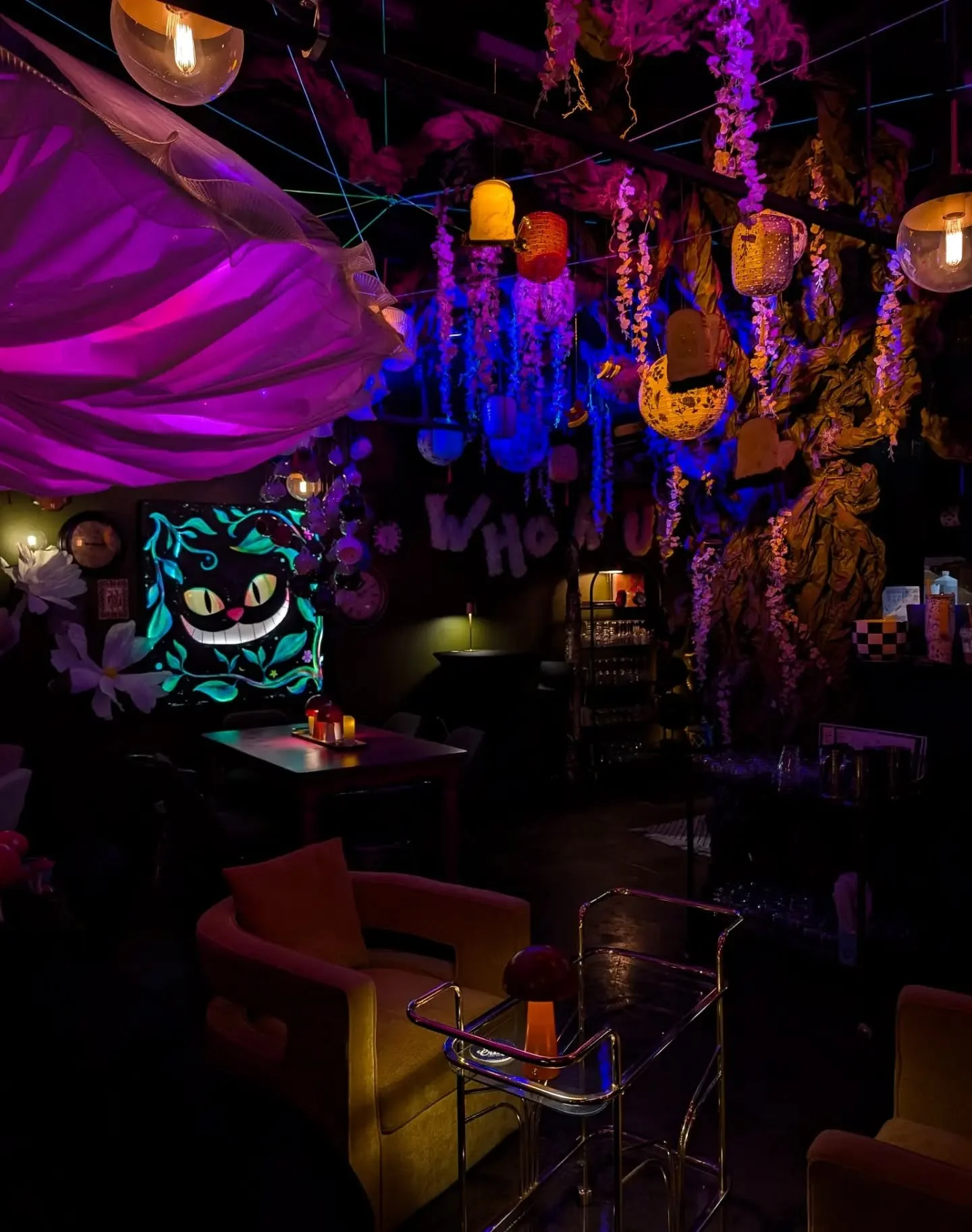 Take an adventure to Cherry Street Bottle Shop's underground Wonderland 🐇🍄🦋
Reservations are encouraged and available on our website! 

#ThingsToDoInOhio #PopUpBar #AliceInWonderland #WonderlandOnCherryStreet #ThemedBar

We're All Mad Here 🎩❣️
Si