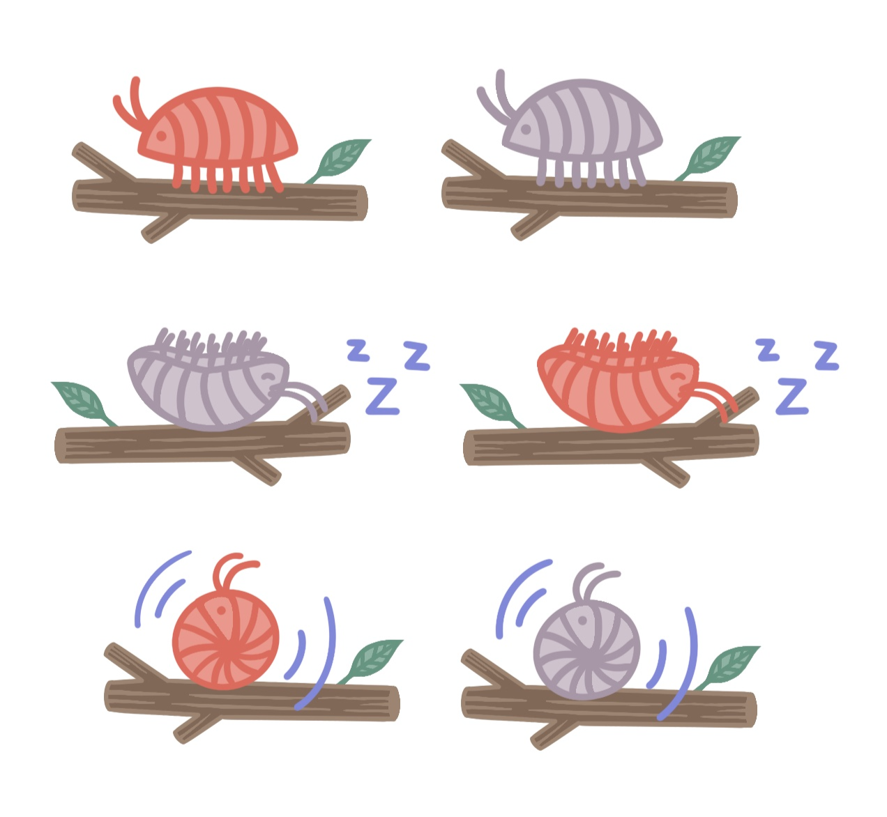 Roly poly on branch Iterations, Procreate, 2026