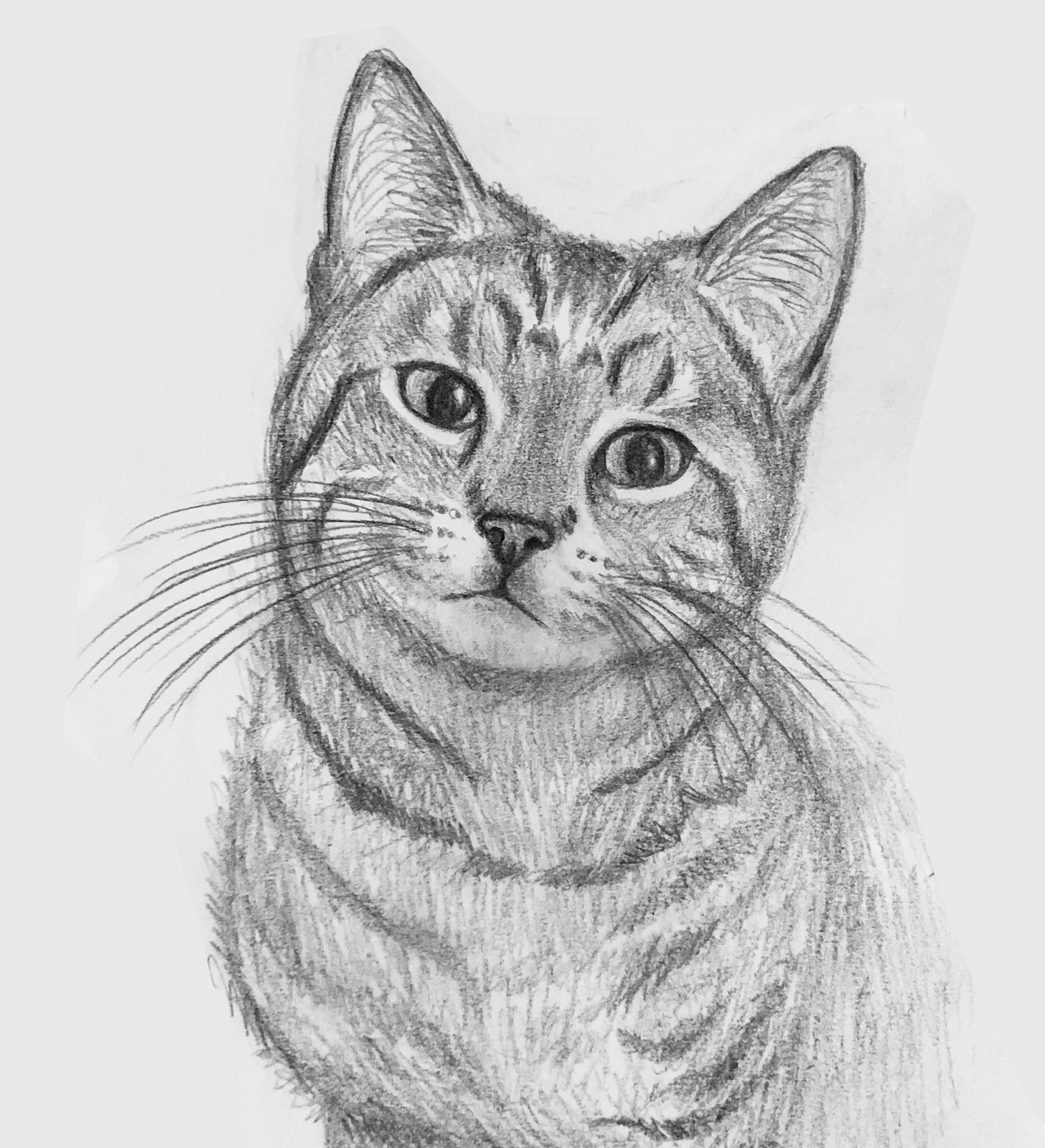 'Leo', mechanical pencil, 2020