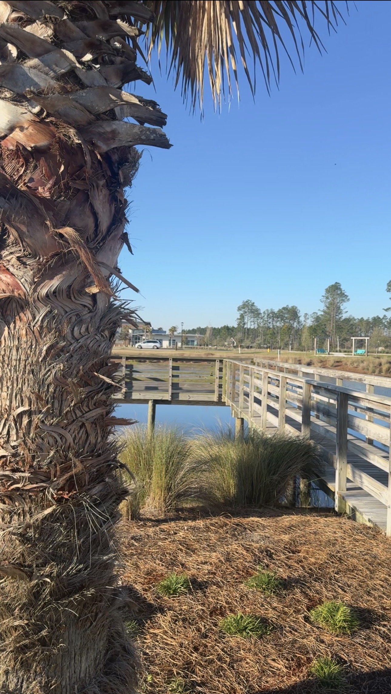 The Jacksonville, FL neighborhood guide from someone who grew up here