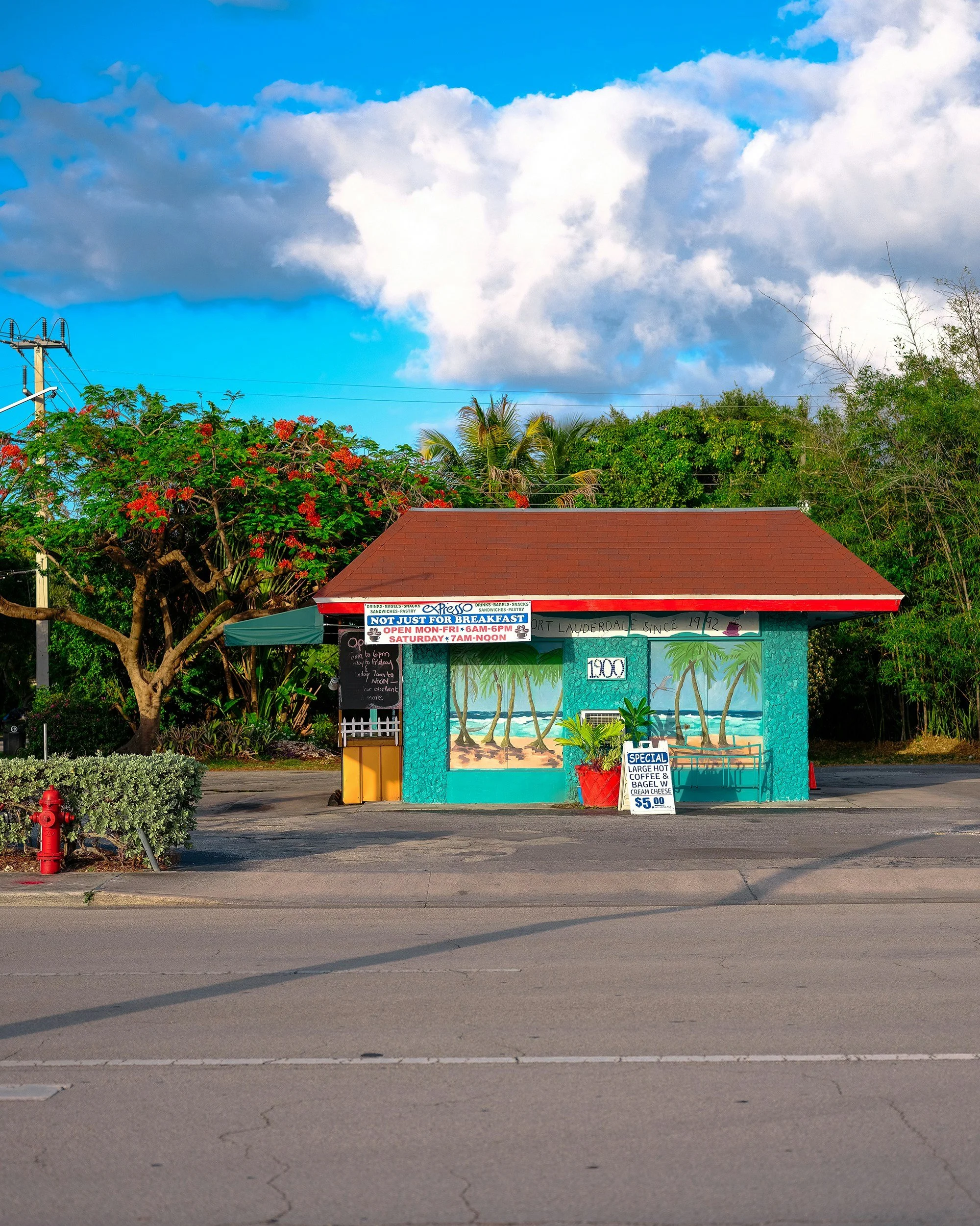 The Best Coffee Shops in Jacksonville, FL (According to a Local)